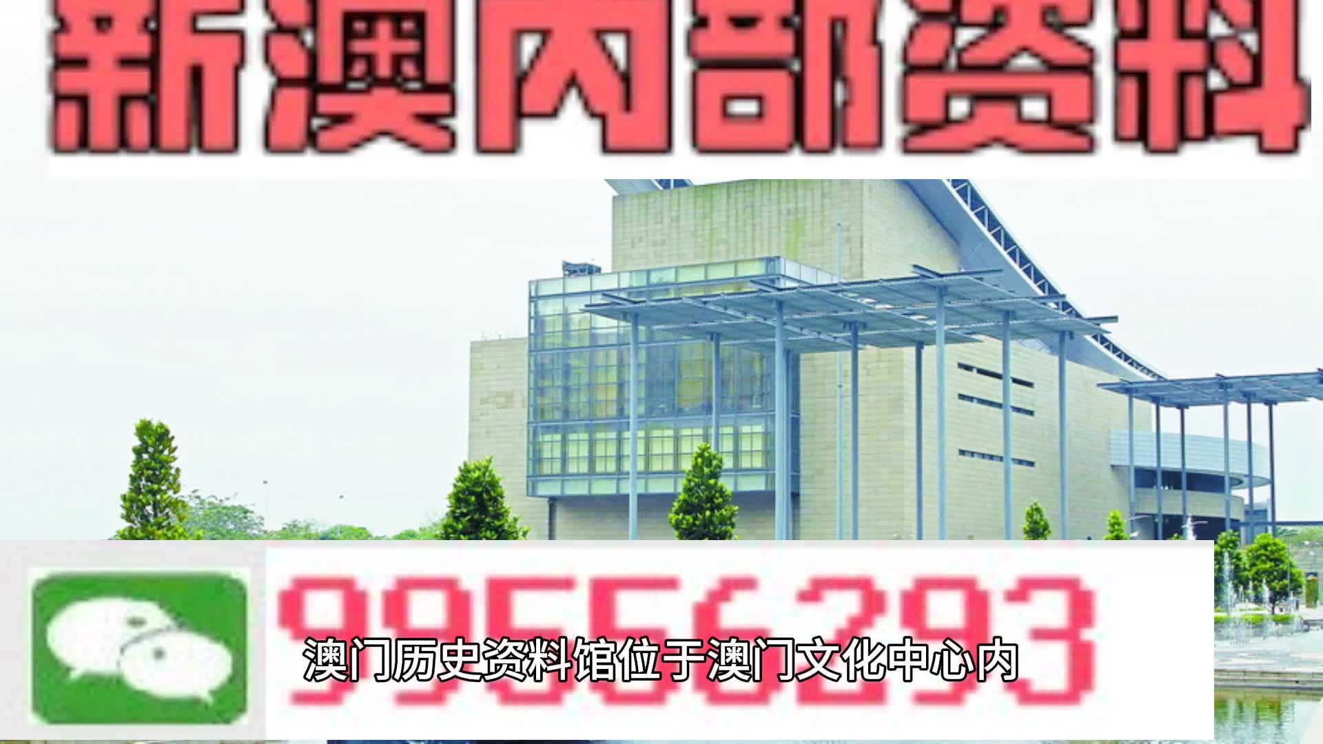 2024年新澳门天天开彩,移动解释解析落实