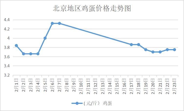 北京今日鸡蛋最新行情分析