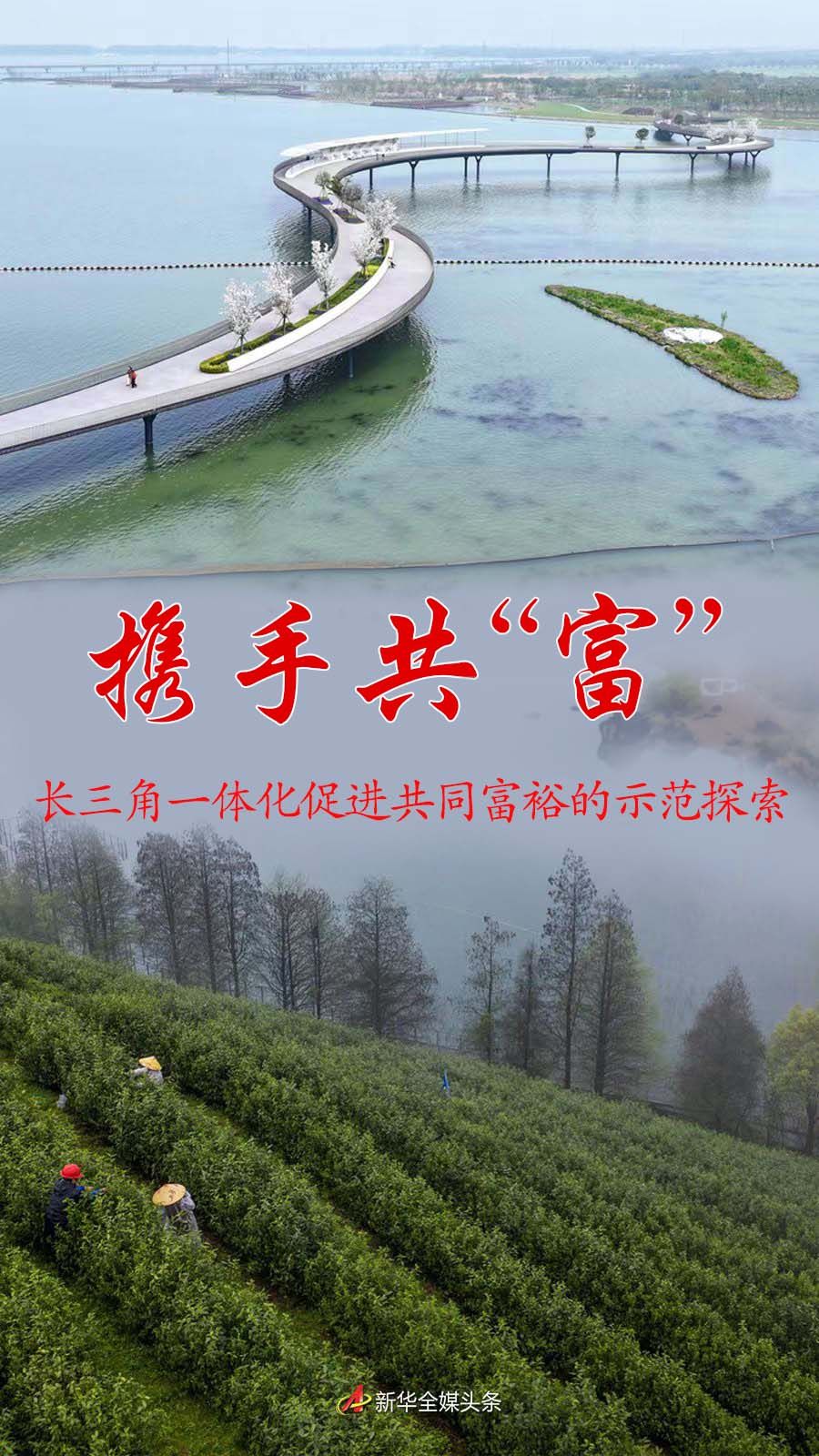 郜台最新鱼情，探索水域生态的丰富多样性